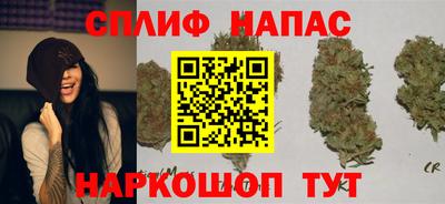 гидропоника Тара