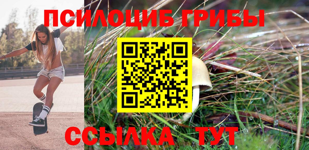 сколько стоит  Галлюциногенные грибы Cubensis  Алейск  Вход с VPN  Псилоцибиновые грибы ЛСД 